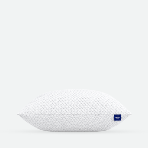 Shredded Memory Foam Pillow