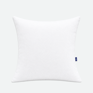 Throw Pillows Insert Set of 1