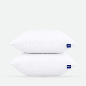 Throw Pillows Insert Set of 2