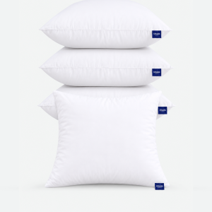 Throw Pillows Insert Set of 4