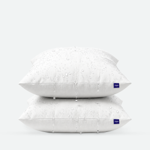 Outdoor Pillow Inserts